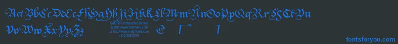 Squatt Font – Blue Fonts on Black Background