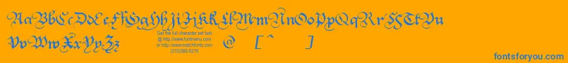Squatt Font – Blue Fonts on Orange Background
