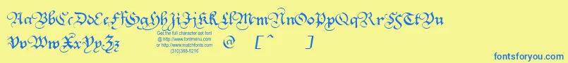 Squatt Font – Blue Fonts on Yellow Background