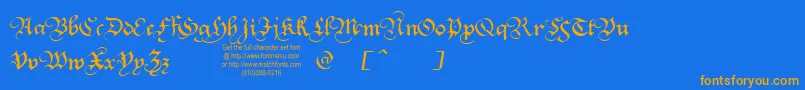 Squatt Font – Orange Fonts on Blue Background
