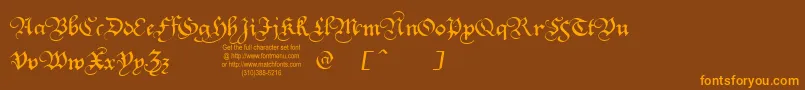Squatt Font – Orange Fonts on Brown Background