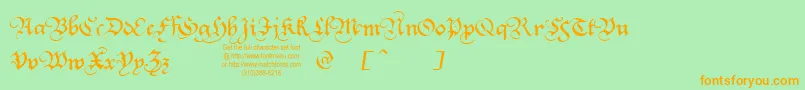 Squatt Font – Orange Fonts on Green Background