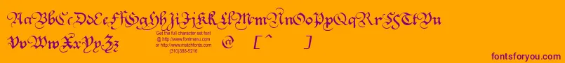 Squatt Font – Purple Fonts on Orange Background