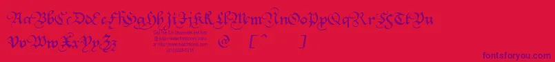 Squatt Font – Purple Fonts on Red Background