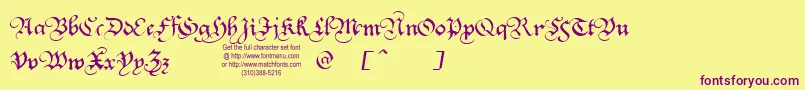 Squatt Font – Purple Fonts on Yellow Background