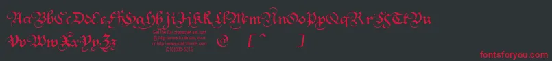 Squatt Font – Red Fonts on Black Background