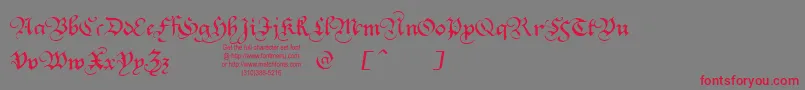 Squatt Font – Red Fonts on Gray Background