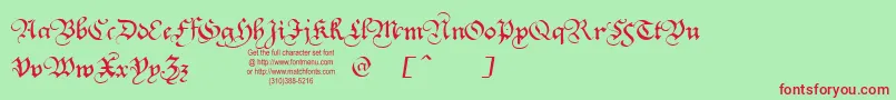 Squatt Font – Red Fonts on Green Background