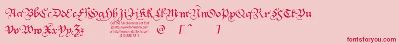 Squatt Font – Red Fonts on Pink Background