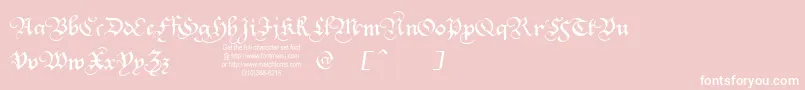 Squatt Font – White Fonts on Pink Background