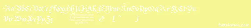 Squatt Font – White Fonts on Yellow Background