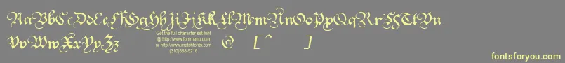 Squatt Font – Yellow Fonts on Gray Background