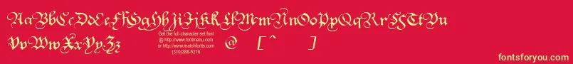 Squatt Font – Yellow Fonts on Red Background