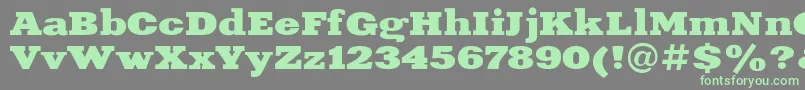 XeniaextendedBold-Schriftart – Grüne Schriften auf grauem Hintergrund