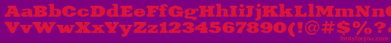 XeniaextendedBold Font – Red Fonts on Purple Background