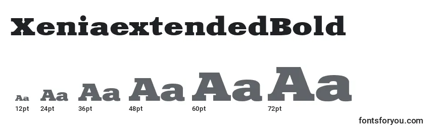 XeniaextendedBold Font Sizes