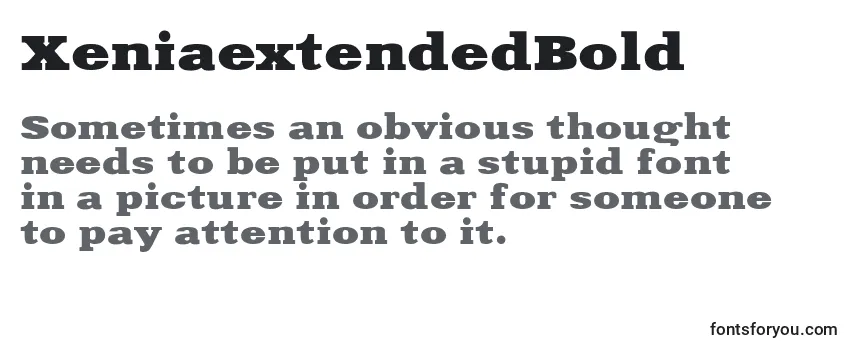 Review of the XeniaextendedBold Font