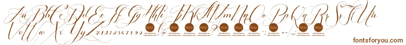 Шрифт PersonaluseShippedgoods1 – коричневые шрифты на белом фоне