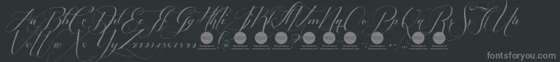 PersonaluseShippedgoods1 Font – Gray Fonts on Black Background