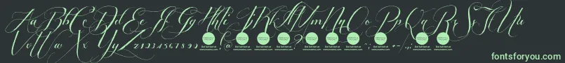 PersonaluseShippedgoods1 Font – Green Fonts on Black Background