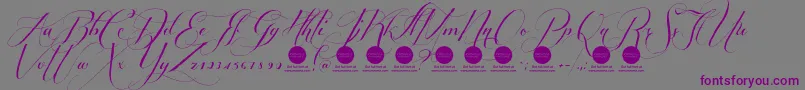 Шрифт PersonaluseShippedgoods1 – фиолетовые шрифты на сером фоне
