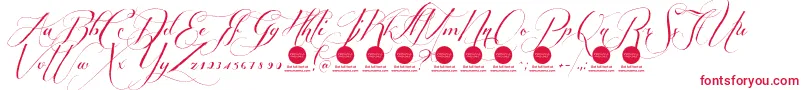 PersonaluseShippedgoods1 Font – Red Fonts