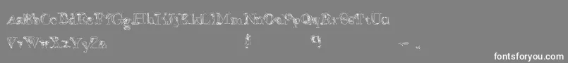FalseAdvertising Font – White Fonts on Gray Background