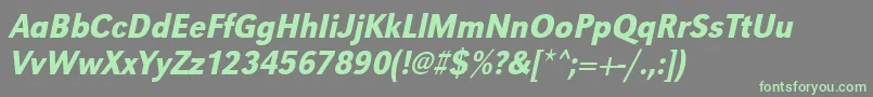 UrwgrotesktmedextnarOblique Font – Green Fonts on Gray Background