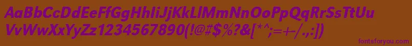 UrwgrotesktmedextnarOblique Font – Purple Fonts on Brown Background