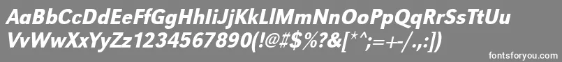 UrwgrotesktmedextnarOblique Font – White Fonts on Gray Background