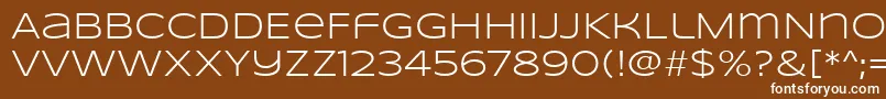 SyncopateRegular Font – White Fonts on Brown Background