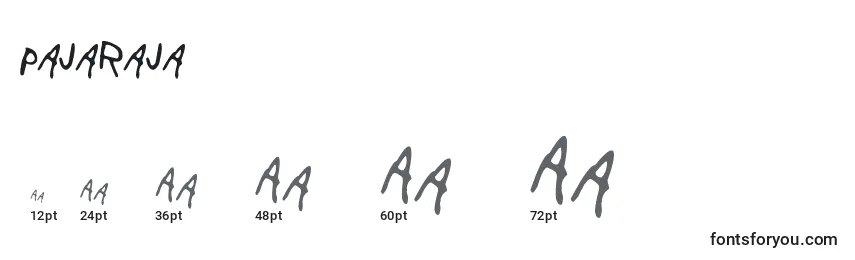PajaRaja Font Sizes