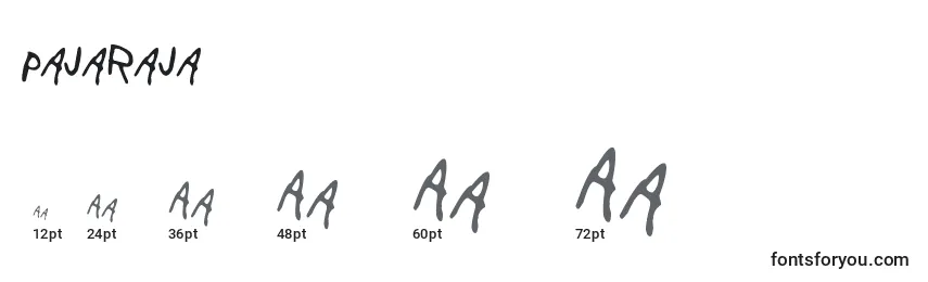 Größen der Schriftart PajaRaja