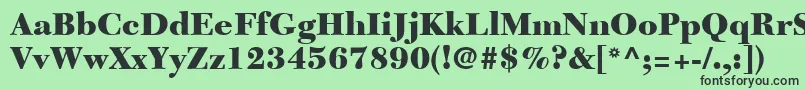 NewCaledoniaLtBlack Font – Black Fonts on Green Background