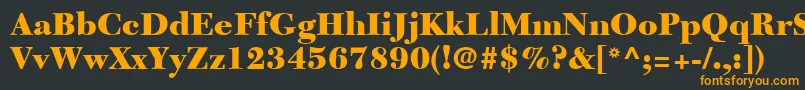 NewCaledoniaLtBlack Font – Orange Fonts on Black Background