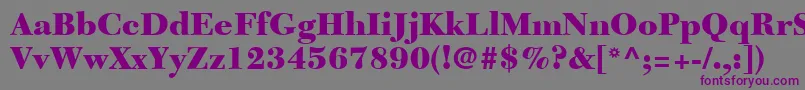 NewCaledoniaLtBlack Font – Purple Fonts on Gray Background