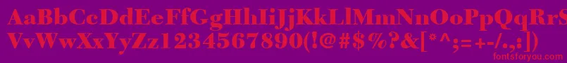 NewCaledoniaLtBlack Font – Red Fonts on Purple Background