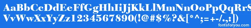 Czcionka NewCaledoniaLtBlack – białe czcionki na niebieskim tle