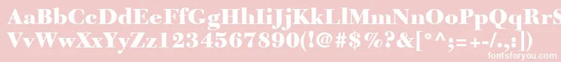 NewCaledoniaLtBlack Font – White Fonts on Pink Background