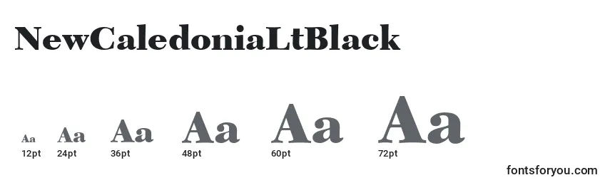 Размеры шрифта NewCaledoniaLtBlack