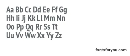 Review of the Ptn77f Font