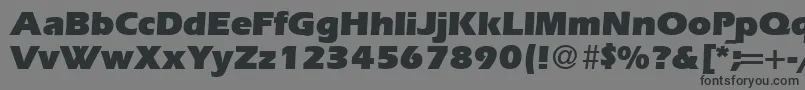 Шрифт ErgoultraRegularDb – чёрные шрифты на сером фоне