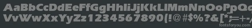 ErgoultraRegularDb Font – Gray Fonts on Black Background