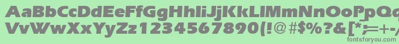 ErgoultraRegularDb Font – Gray Fonts on Green Background