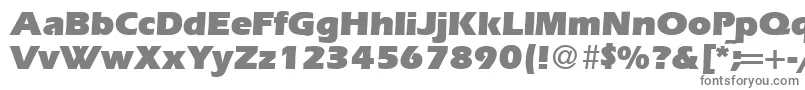 ErgoultraRegularDb-Schriftart – Graue Schriften auf weißem Hintergrund