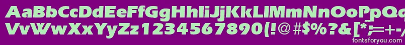 ErgoultraRegularDb Font – Green Fonts on Purple Background