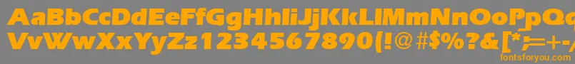 ErgoultraRegularDb Font – Orange Fonts on Gray Background