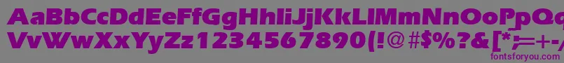 ErgoultraRegularDb Font – Purple Fonts on Gray Background