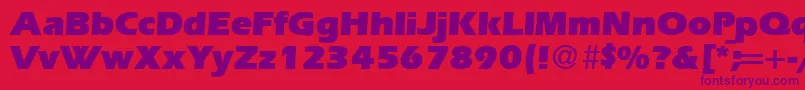 ErgoultraRegularDb Font – Purple Fonts on Red Background