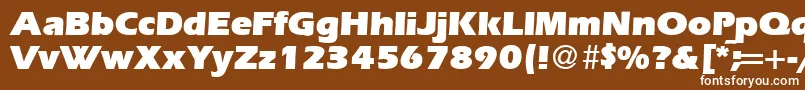 フォントErgoultraRegularDb – 茶色の背景に白い文字